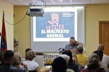 Más por Telde analiza y debate la nueva Ley de Protección y Bienestar Animal/TA.